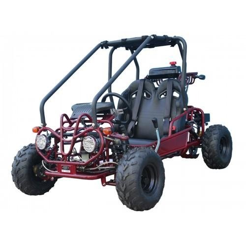 Taotao GK110 Kids Gas Go Kart Dune Buggy