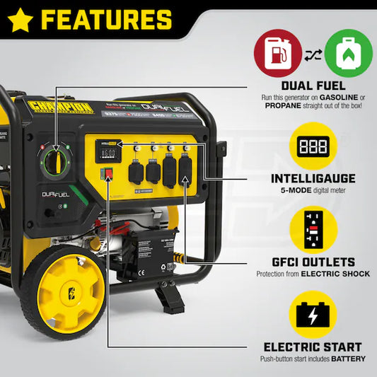 Champion 7500 Watt Portable Generator 100891