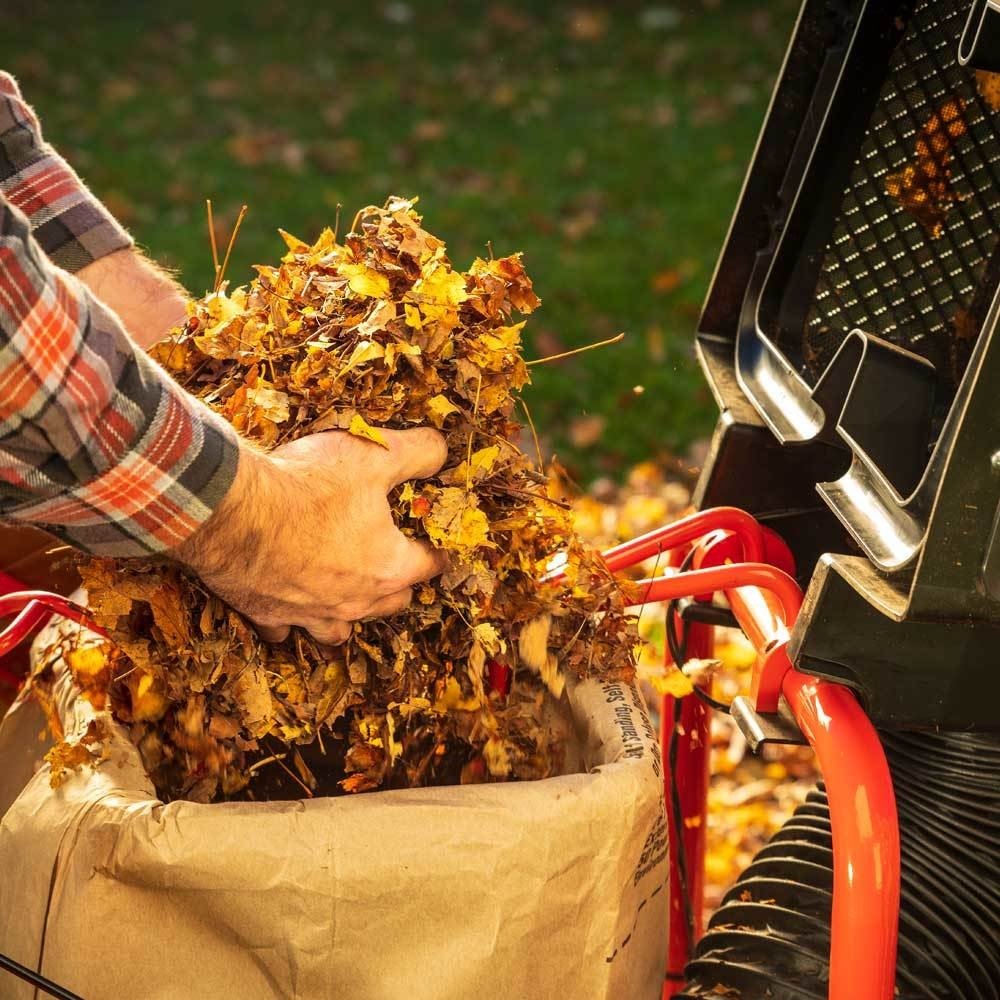 DR Power Leaf Vacuum