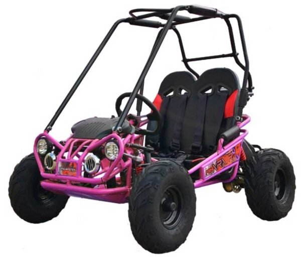 TrailMaster MINI XRX+ Go-Kart