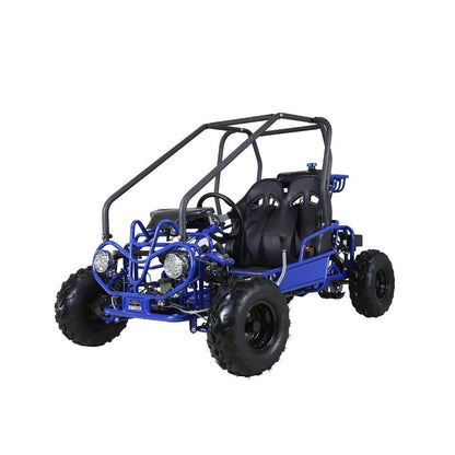 Taotao GK110 Kids Gas Go Kart Dune Buggy