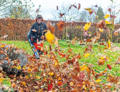 Echo PB-7910T Backpack Leaf Blower