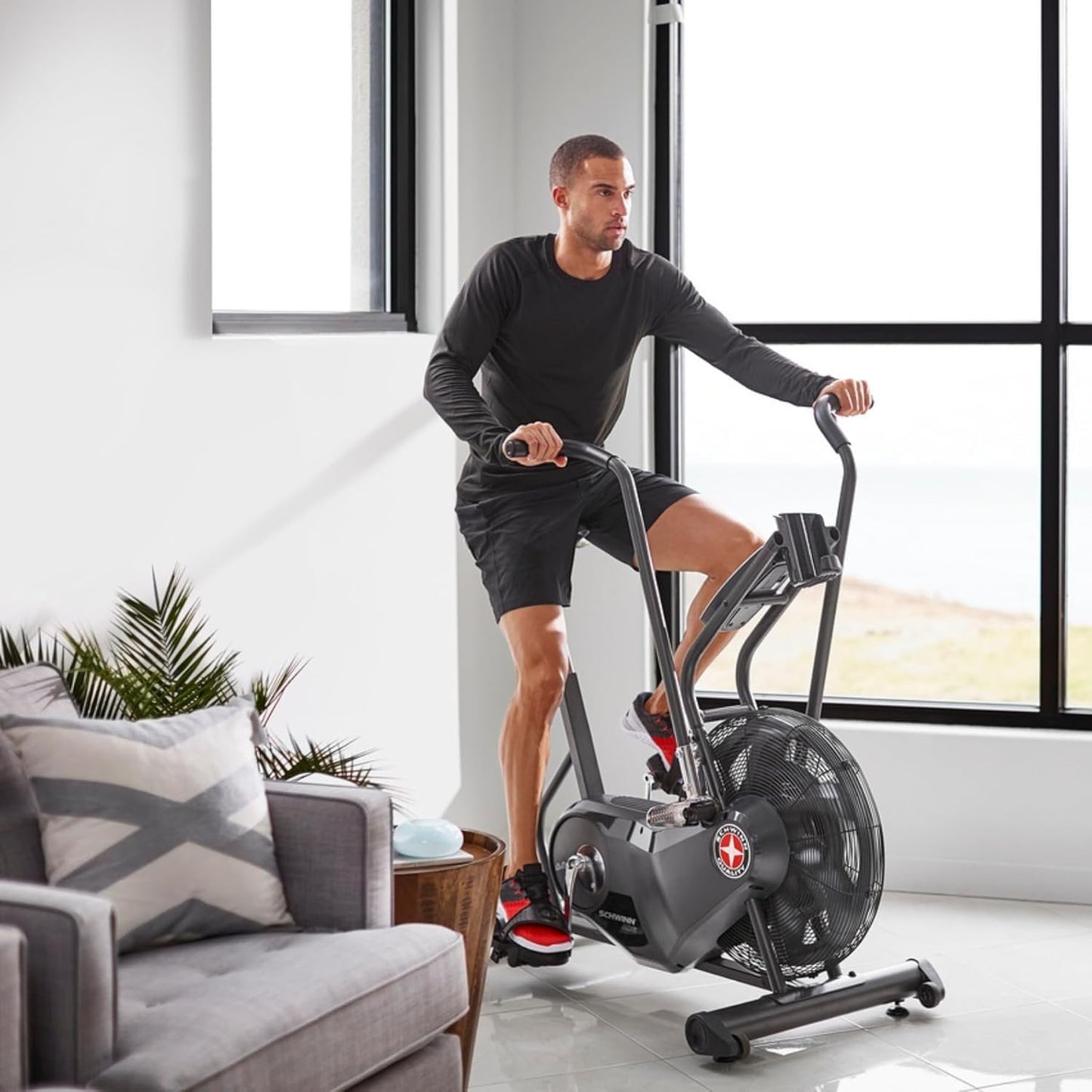 Schwinn Airdyne AD6 Exercise Bike