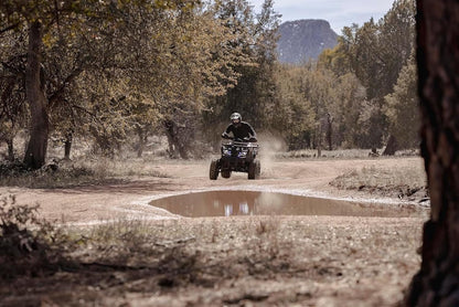 Coleman Powersports AT200R 169cc Gas Powered Adult ATV