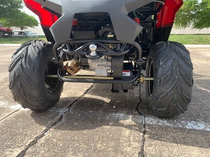 TrailMaster Challenger 200EX EFI UTV Deluxe