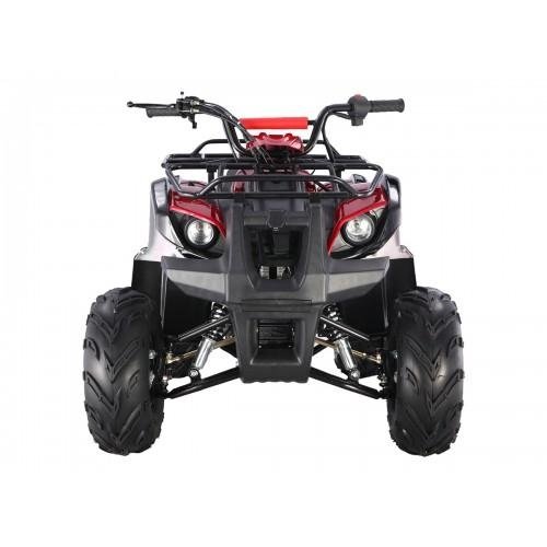 Tao Motor D125 Kids ATVs