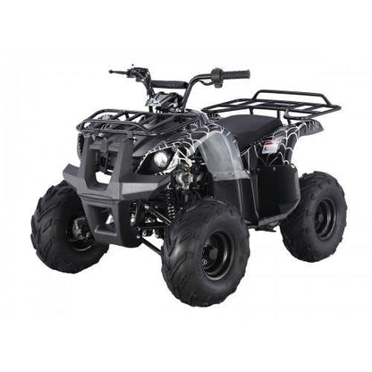 Tao Motor D125 Kids ATVs