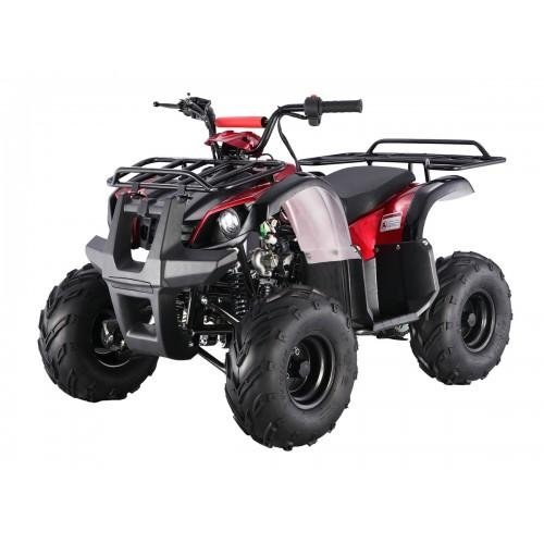 Tao Motor D125 Kids ATVs