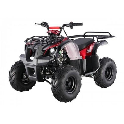 Tao Motor D125 Kids ATVs
