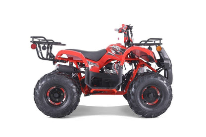 TaoTao T-Force T125 4-Wheeler All-Terrain Vehicle ATV