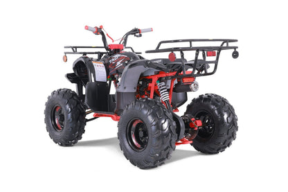 TaoTao T-Force T125 4-Wheeler All-Terrain Vehicle ATV