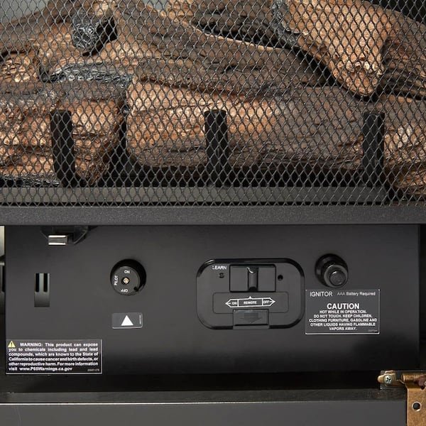 Duluth Forge Dual Fuel Ventless Gas Fireplace Insert