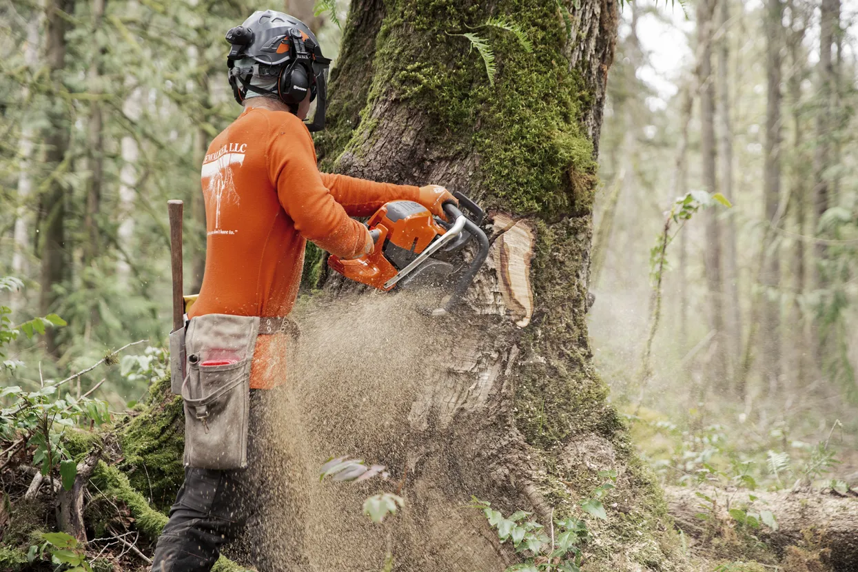 Husqvarna 592XP (93cc) Chainsaws