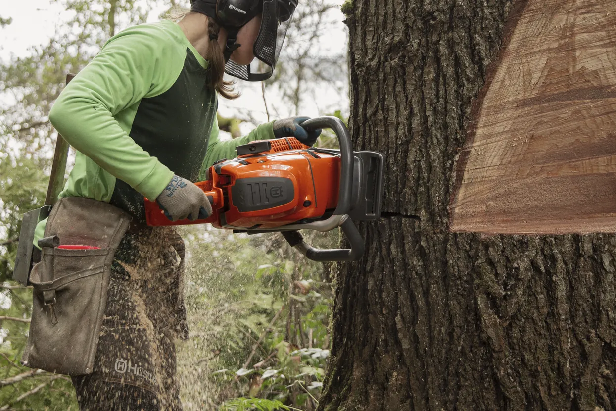 Husqvarna 592XP (93cc) Chainsaws