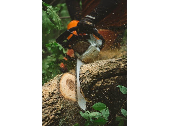 STIHL MS 462 C-M 28 72.2cc 28″ 13 Lbs Fuel-Efficient Gas-Powered M-Tronic C-M Chainsaw w/Bar & Chain